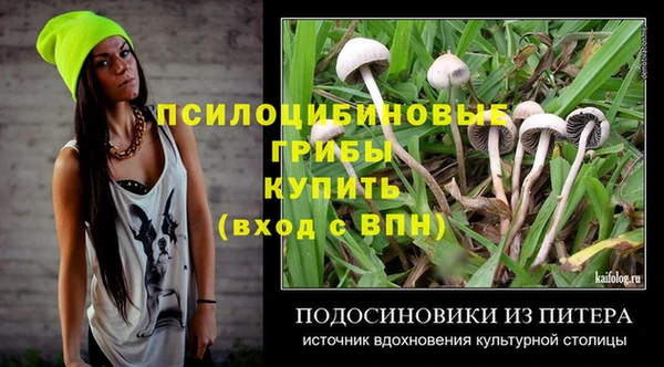 прущая мука Абаза