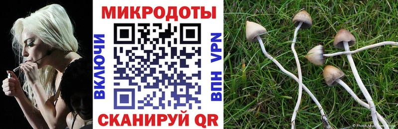 Псилоцибиновые грибы прущие грибы  blacksprut онион  Дивногорск 